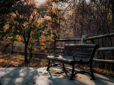 Different Types of Park Benches and How to Choose the Right One